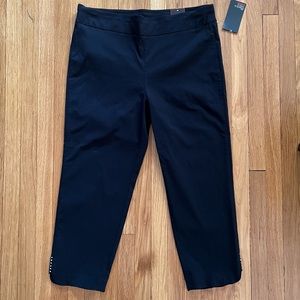 Avenue Super Stretch Ankle Pant Size 20